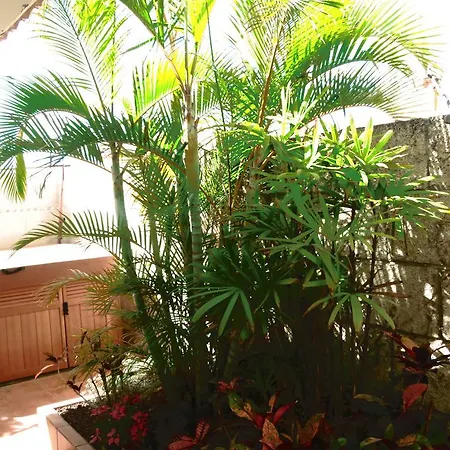 Paradise Apartaments *
